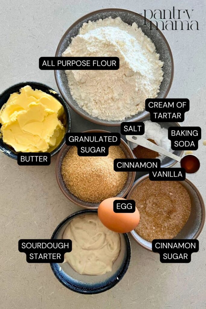 Flat lay of ingredients necessary to make sourdough snickerdoodle cookies.