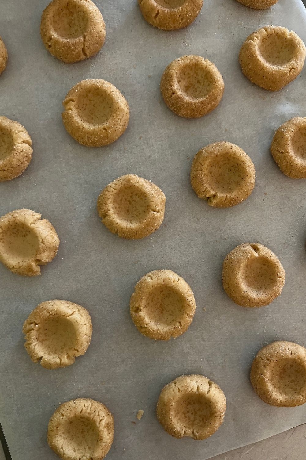 Sourdough Snickerdoodle Cookies - The Pantry Mama