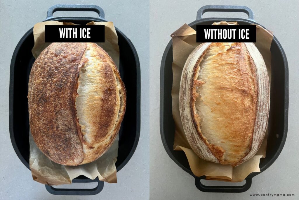 https://www.pantrymama.com/wp-content/uploads/2022/07/DOES-ICE-REALLY-GIVE-YOU-BETTER-SOURDOUGH-1-1024x683.jpg
