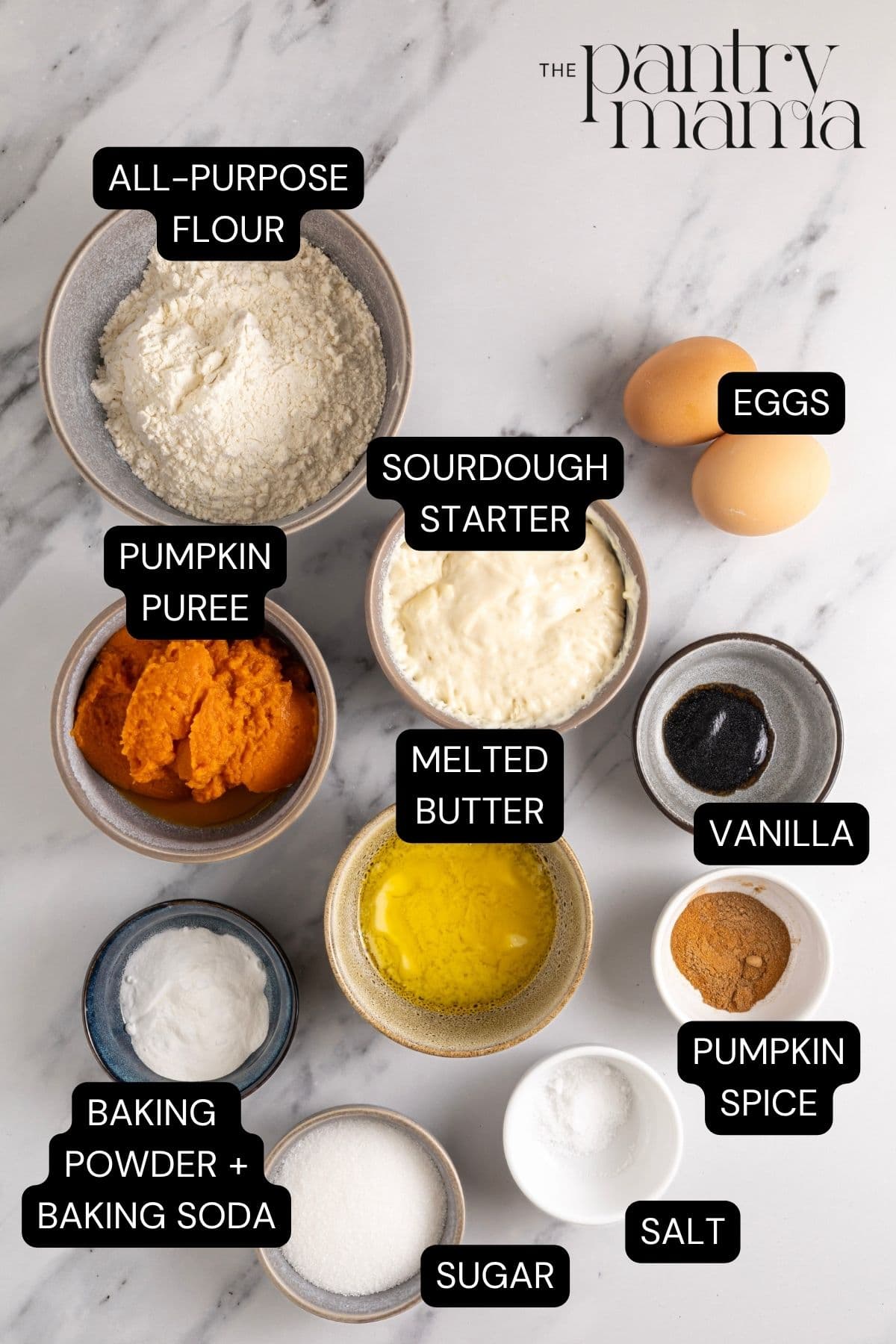 A flat lay of ingredients necessary to make sourdough pumpkin waffles.