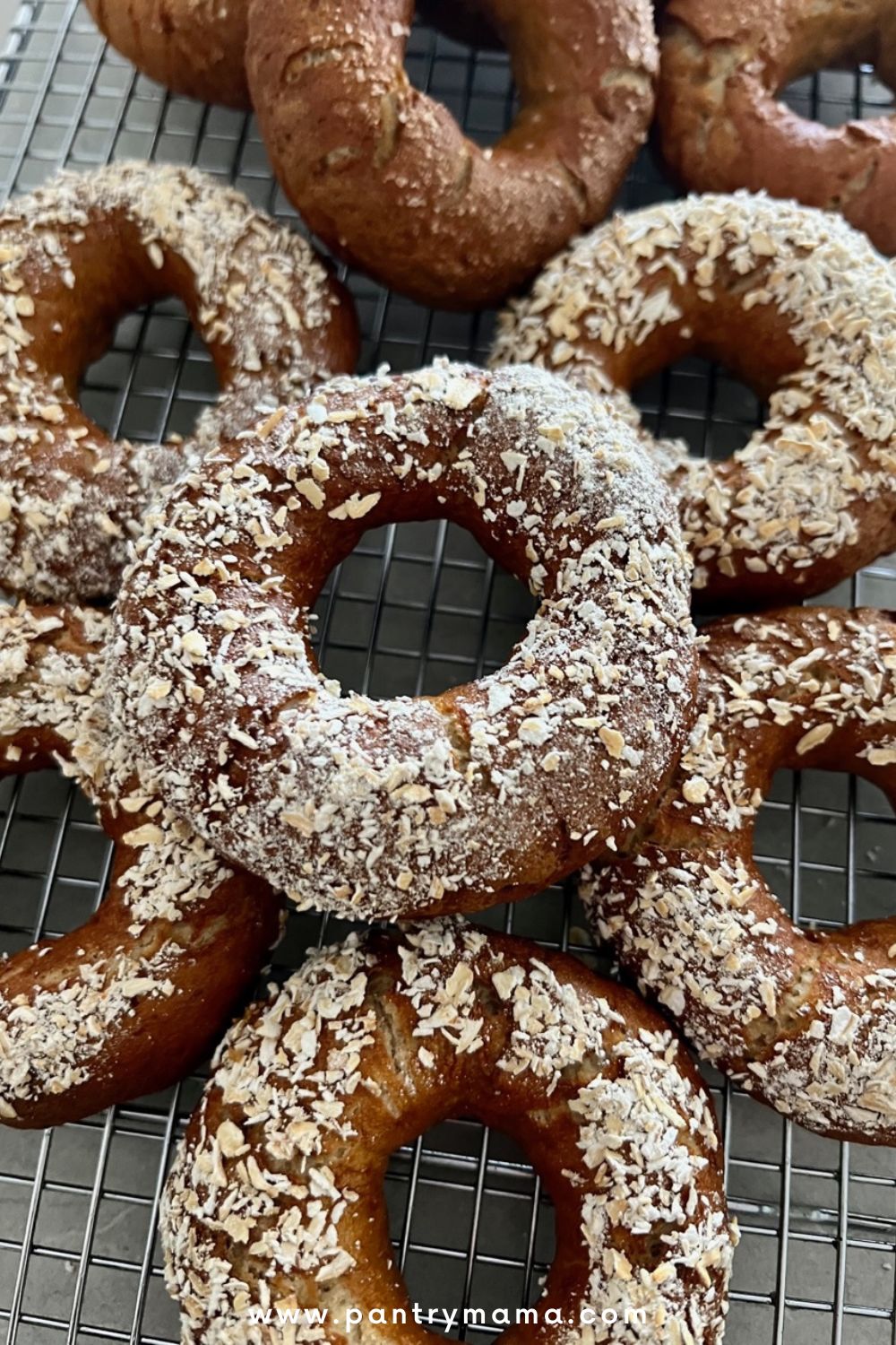 SD Raisin Rye Bagels, Using Romertopf + Braun 5-in-1