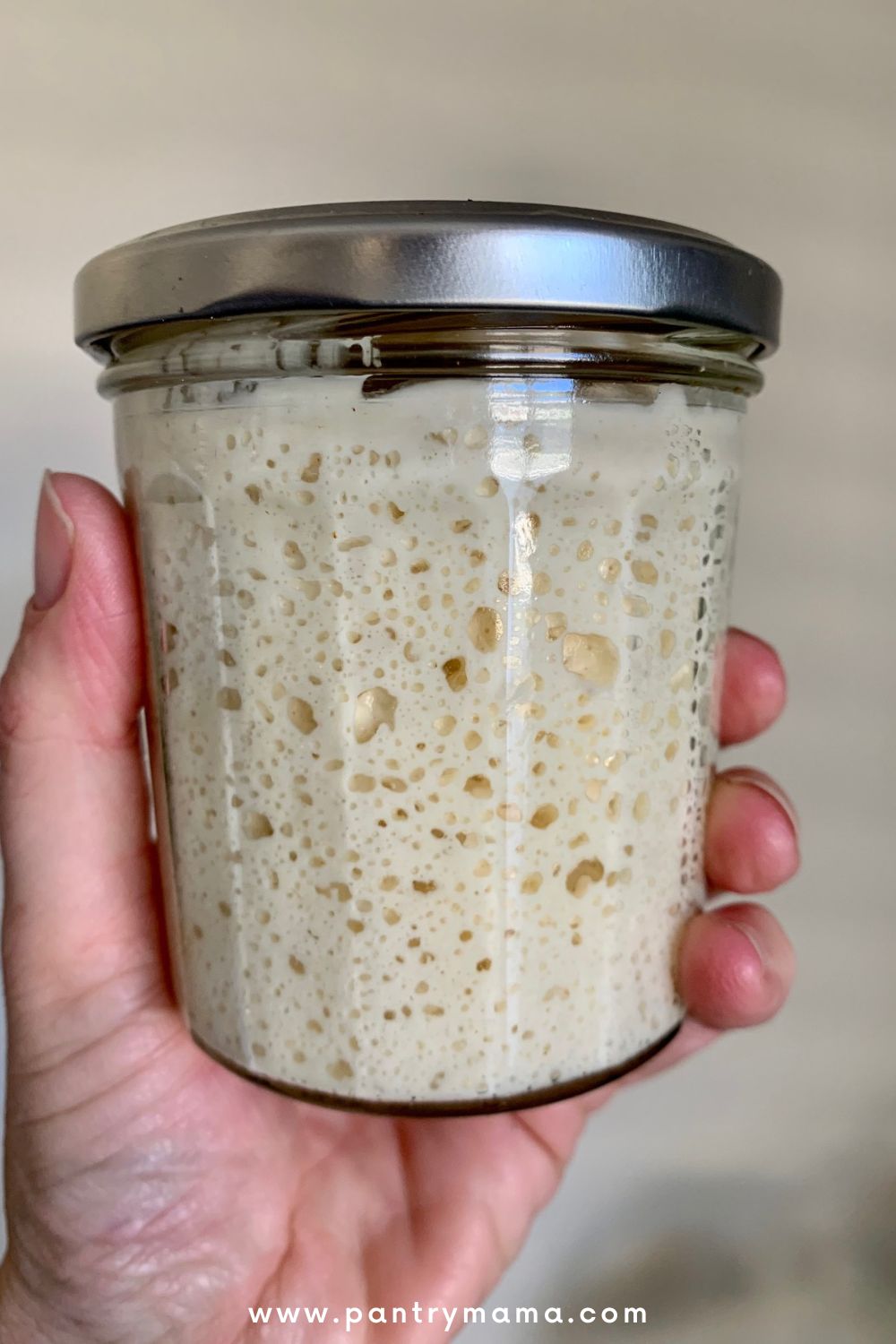 Best Jar For Sourdough Starter [guide to sourdough starter containers] -  The Pantry Mama