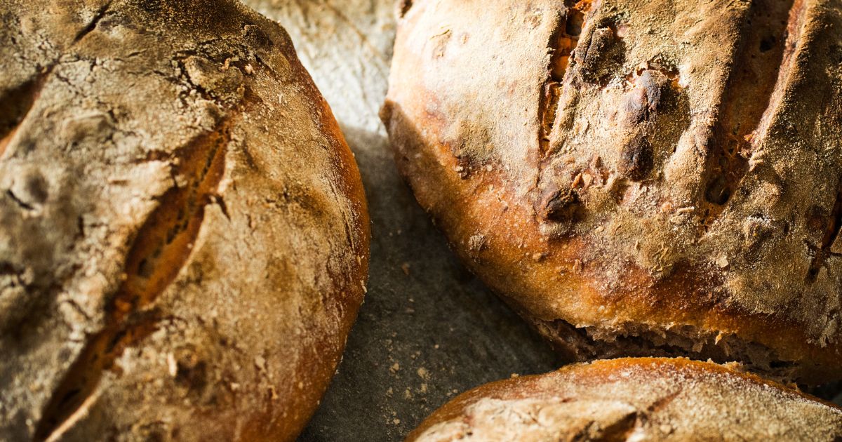 How To Use A Cambro Container for Easy Sourdough Bread Baking - The Pantry  Mama