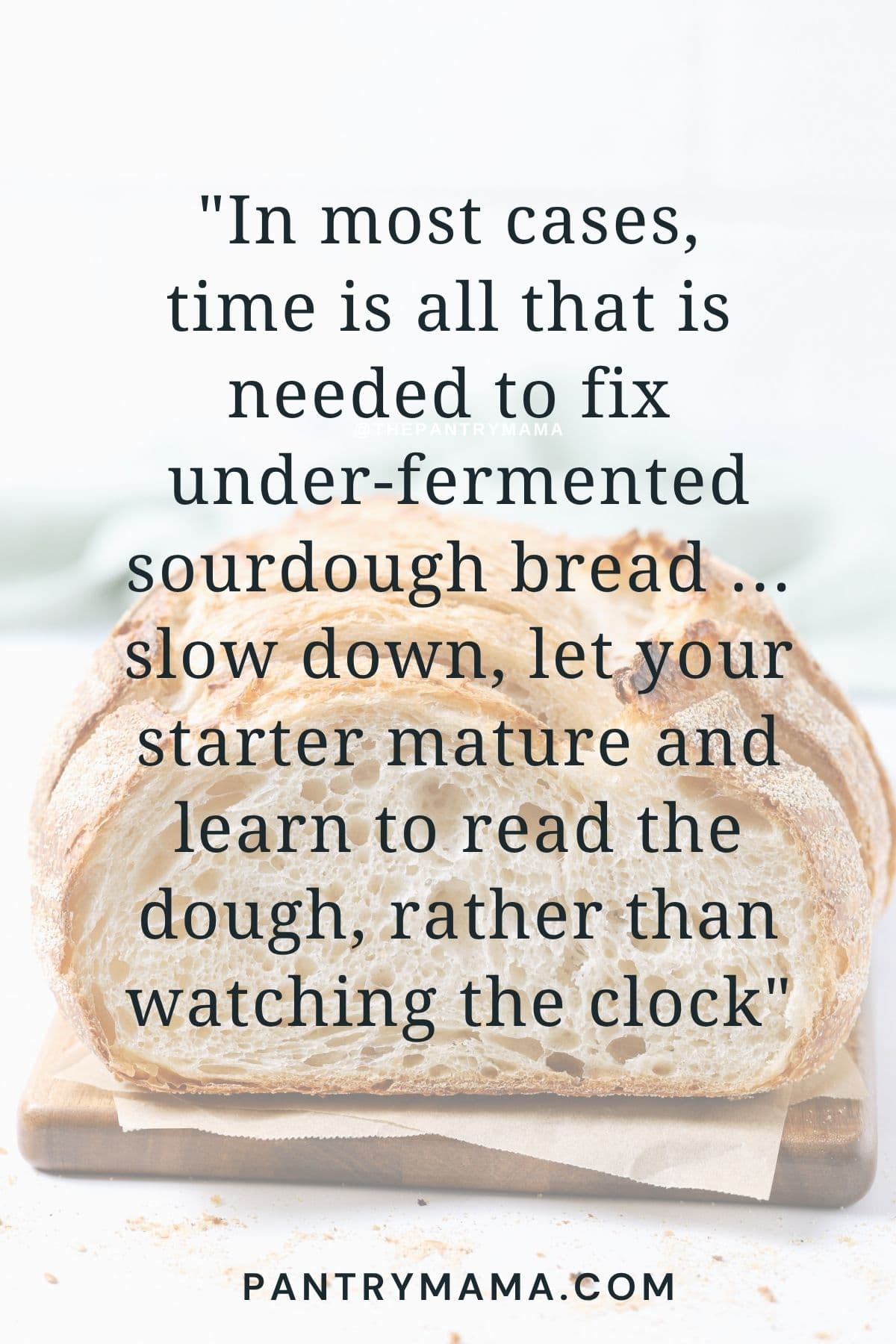 An image of a loaf of sourdough that has been sliced open. The text over the image reads "In most cases,
time is all that is
needed to fix
under-fermented sourdough bread ... slow down, let your starter mature and learn to read the dough, rather than watching the clock".