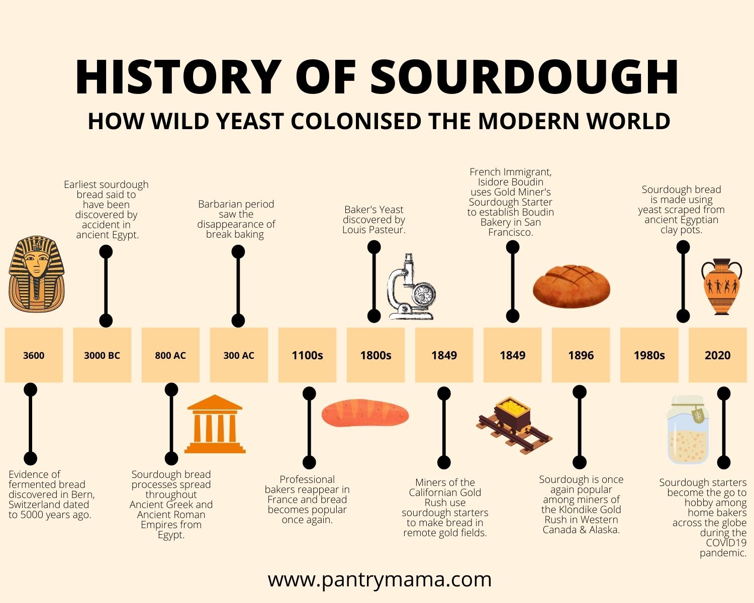 the-history-of-sourdough-bread-the-pantry-mama