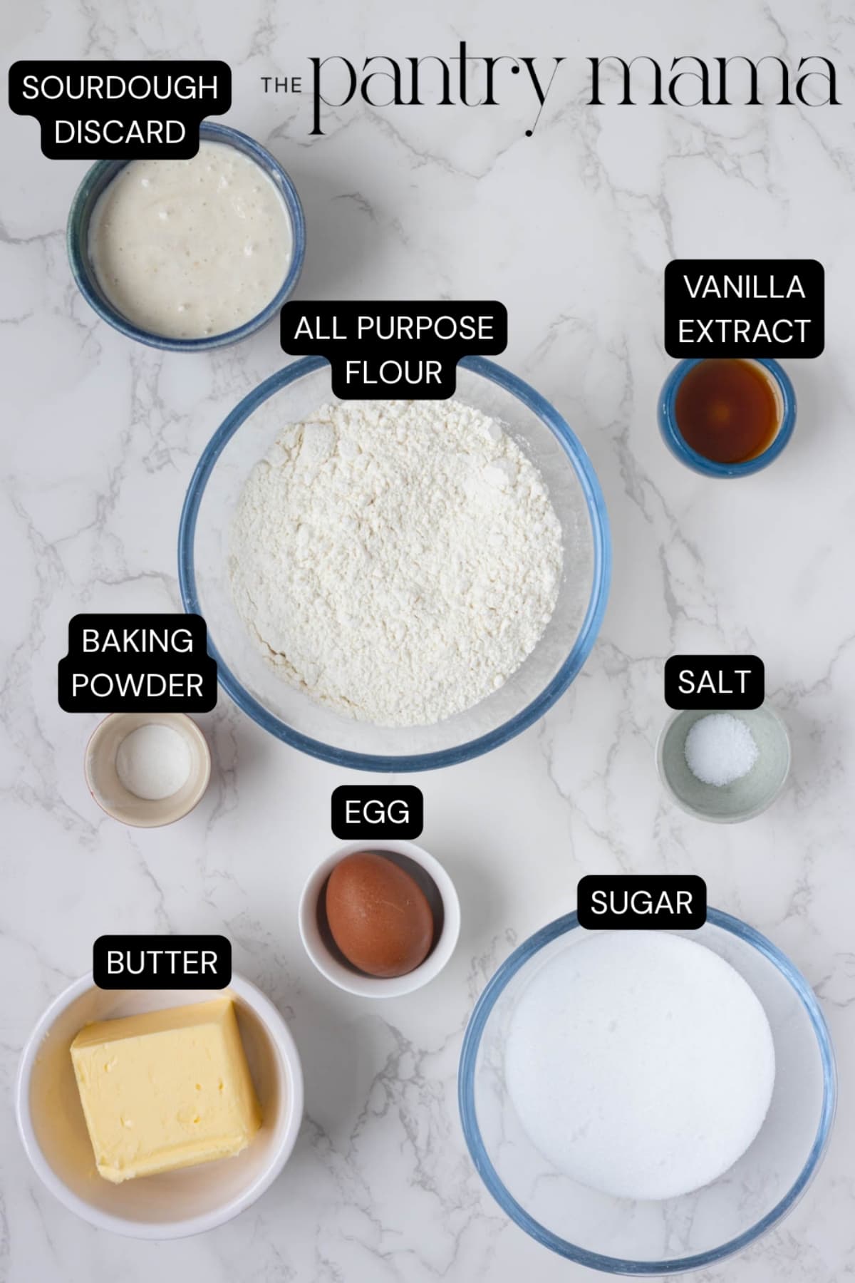 Flat lay of ingredients used to make sourdough sugar cookies.