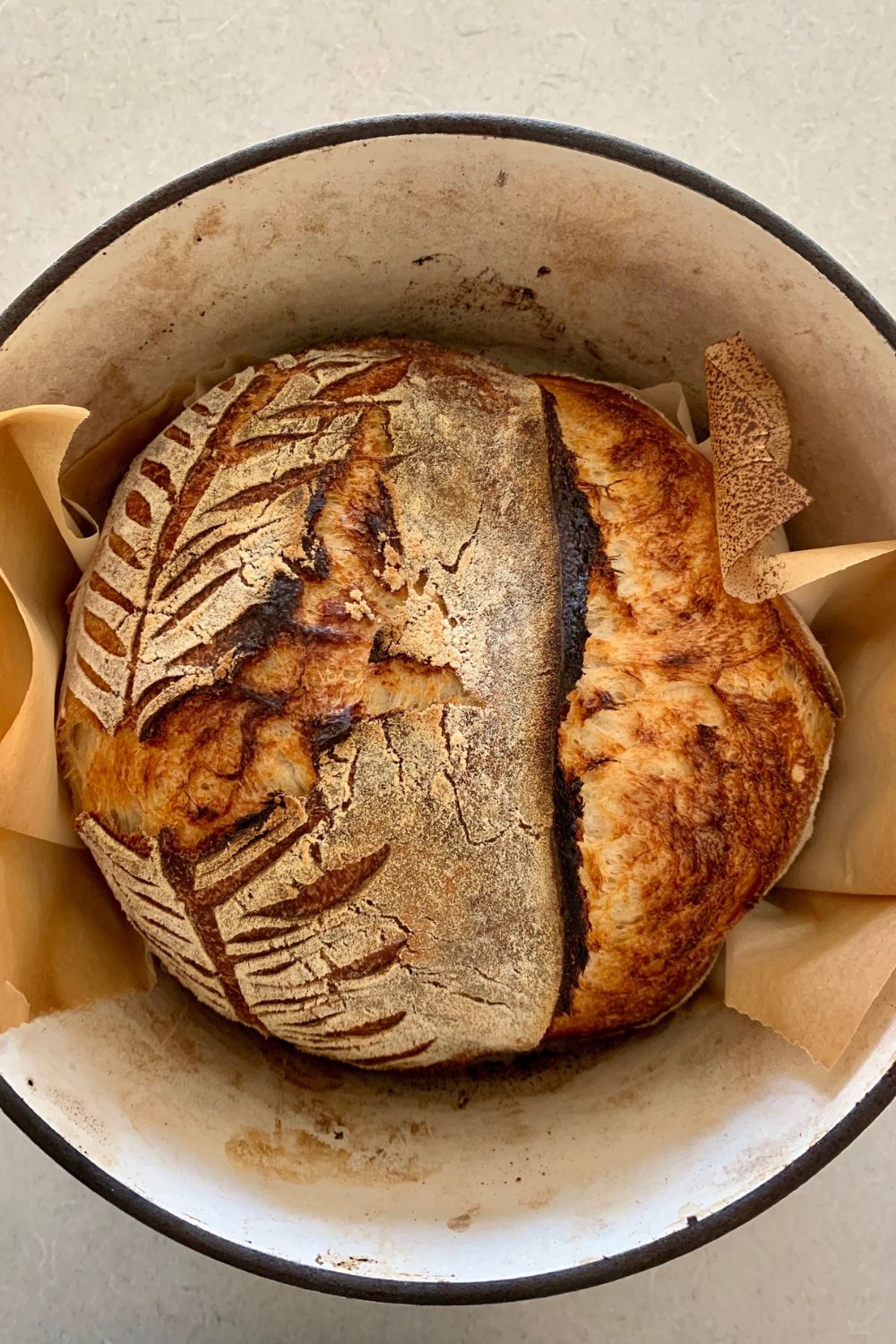 Get to know your sourdoughs 