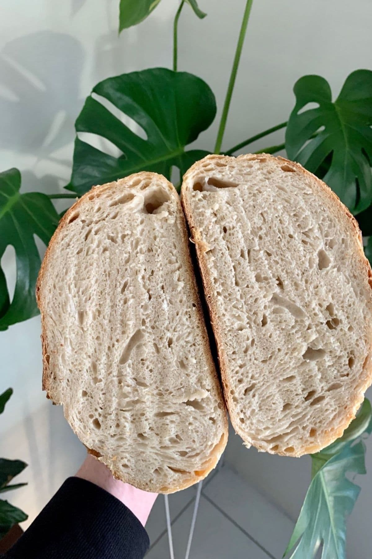A large loaf of sourdough bread that has been sliced open and is displayed so you can see both halves. You can see the lines where the knife has caught on the wet, gummy crumb.