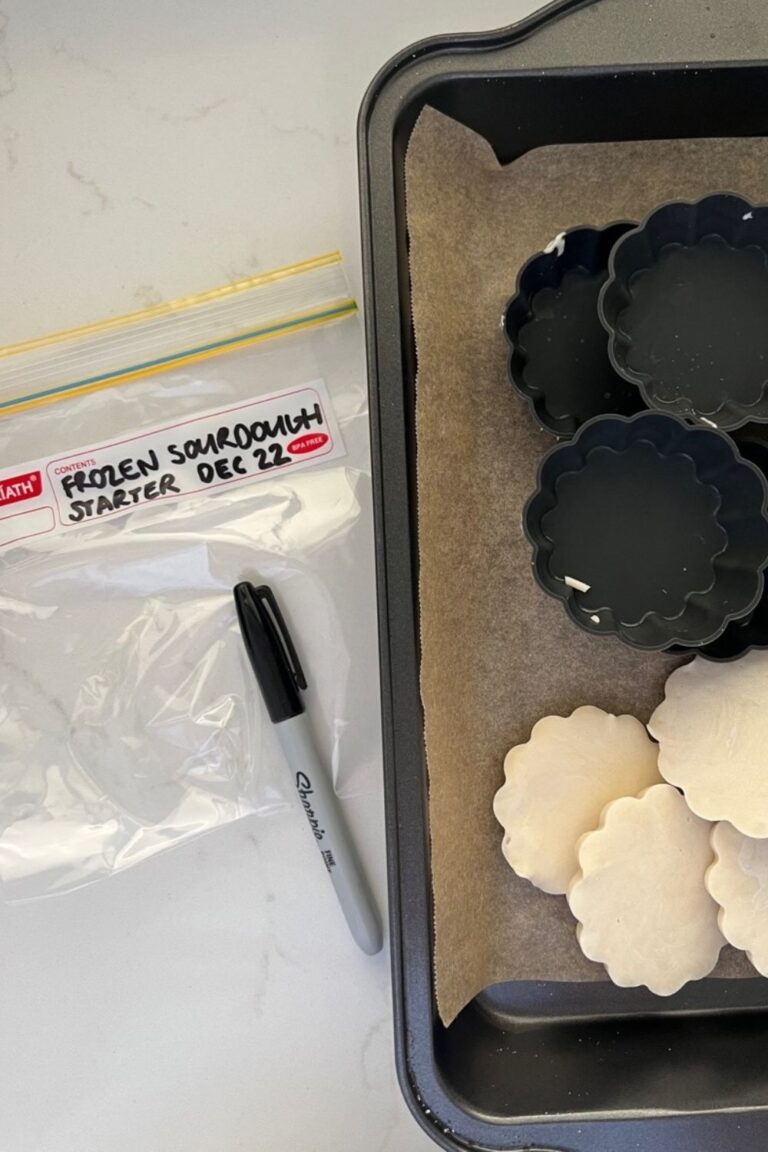 Ziploc bag with label "Frozen Sourdough Starter Dec 22" sitting next to a baking tray with frozen sourdough starter pucks.