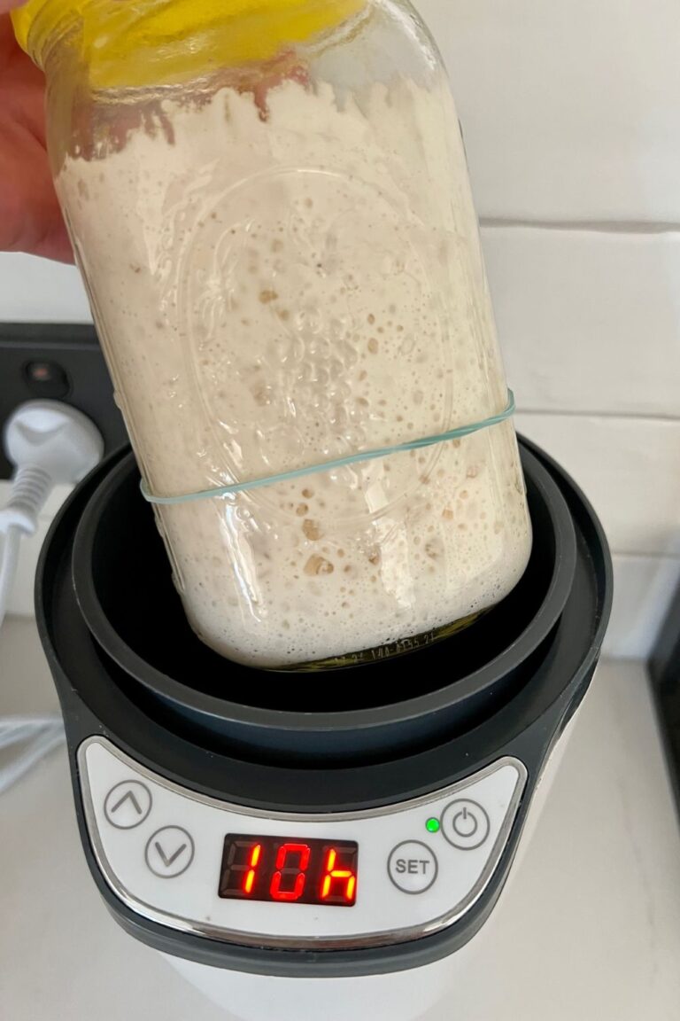 Jar of bubbly sourdough starter with a yellow lid being placed in an electric yogurt maker. It says 10hrs on the LED screen.