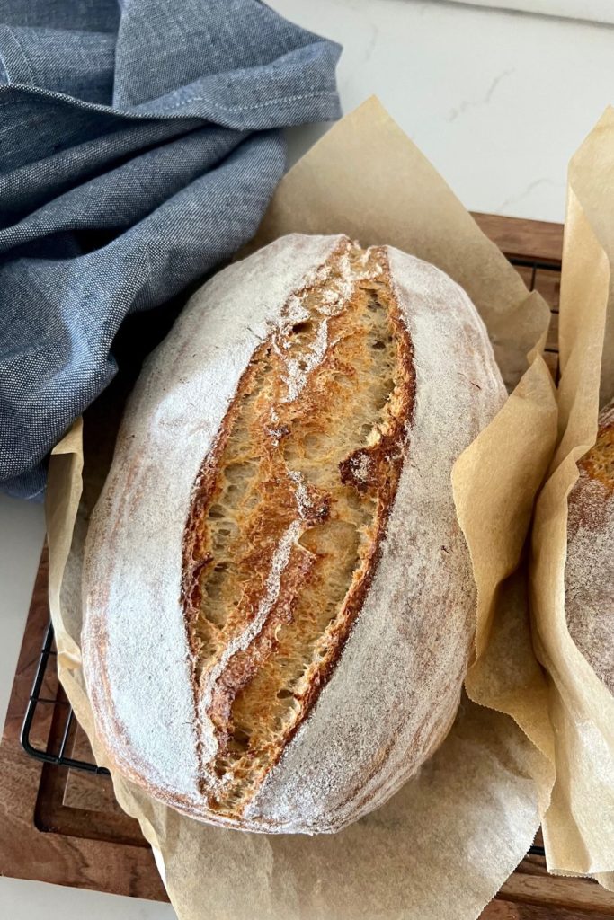 Favorite Sourdough Bread Tools and Resources - A Beautiful Plate
