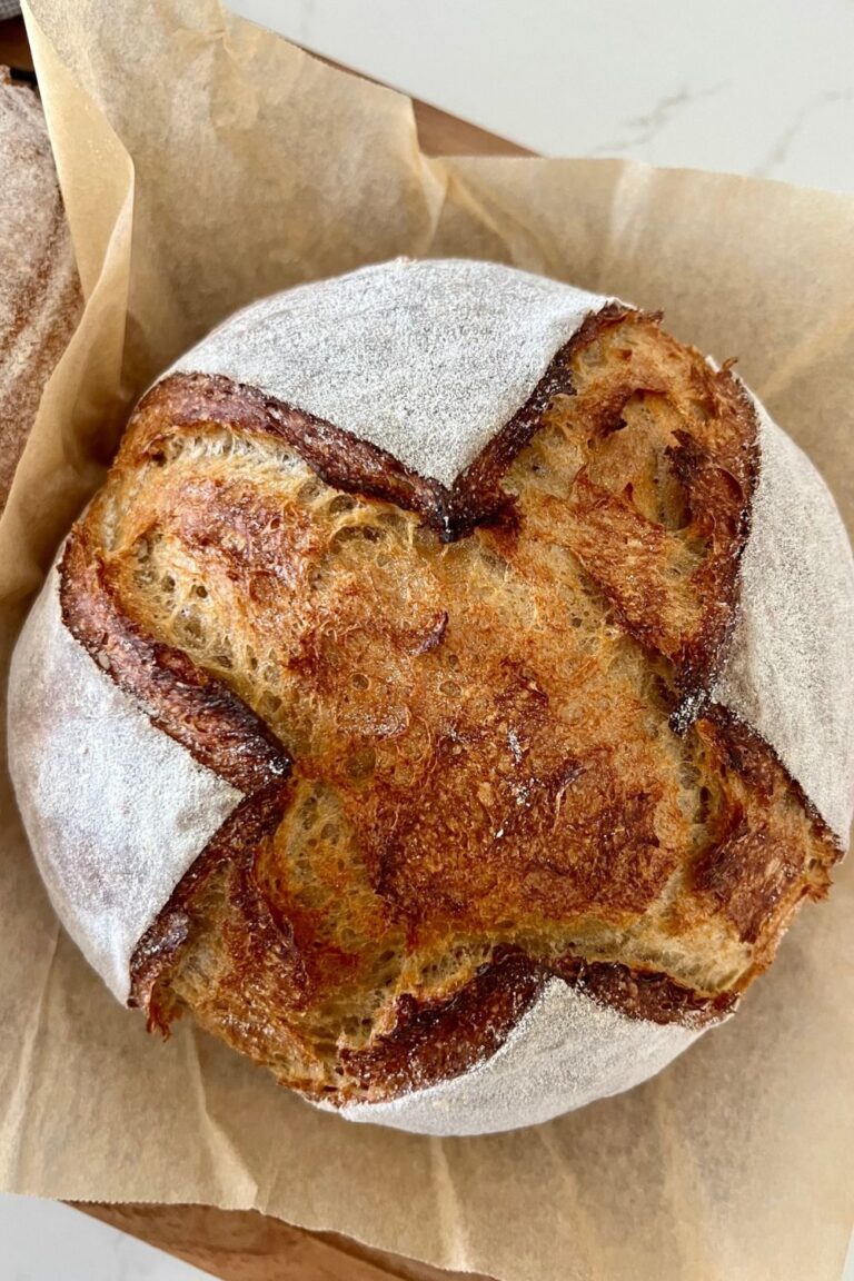 Sourdough rye bread recipe shaped into a boule. The bread has been scored with a cross and has been dusted with rye flour to enhance the scoring.