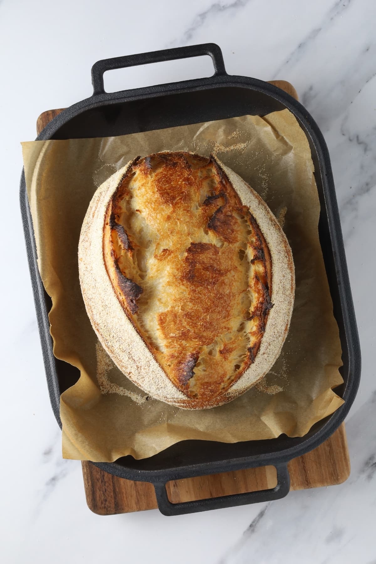 Finished loaf of overnight sourdough bread sitting in a cast-iron Dutch oven.