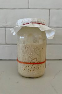 Sourdough Starter Lid On or Off? - The Pantry Mama