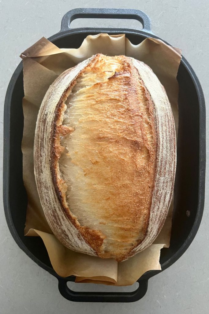 Dutch Oven Bread ⋆ Real Housemoms