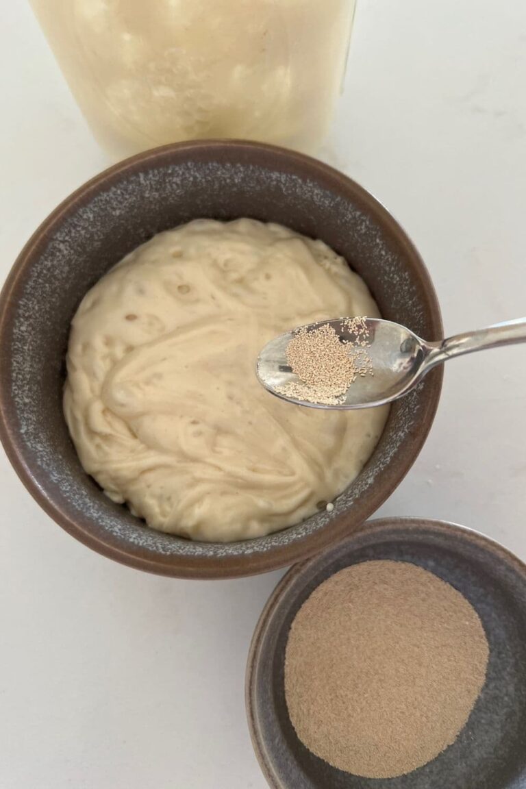 Jar of sourdough starter sitting next to a grey stoneware bowl full of bubbly sourdough starter. There is a small silver spoon with a little commercial yeast being held over the bowl and then a bowl full of commercial yeast sitting below.