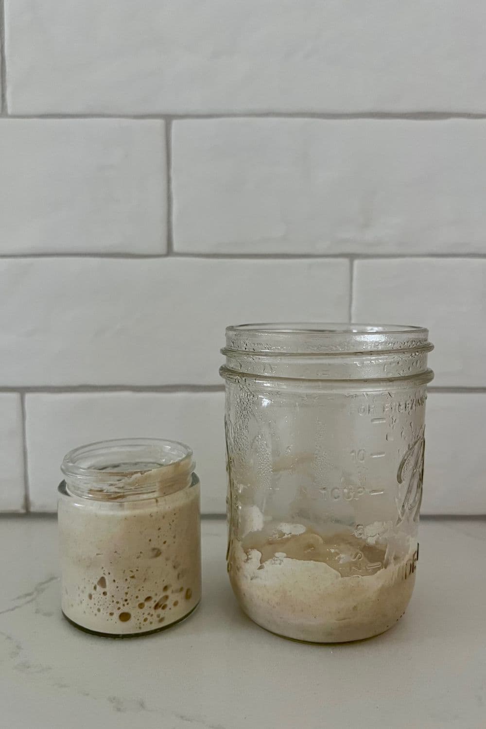 Make & Maintain A Small Sourdough Starter (mini Starter) - The Pantry Mama