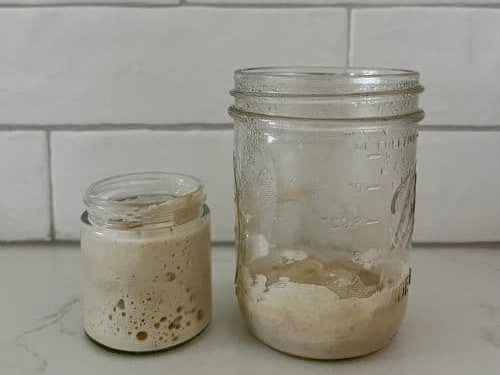 Best Jar For Sourdough Starter [guide to sourdough starter containers] -  The Pantry Mama