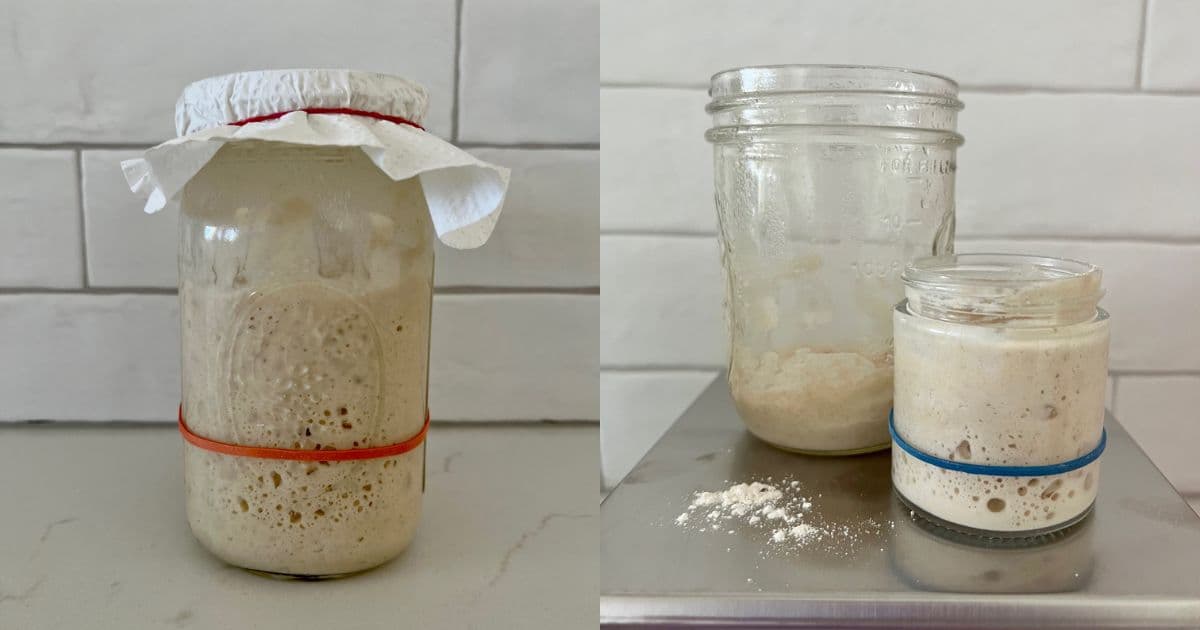 How Does Sourdough Starter Work? [science of sourdough] - The Pantry Mama