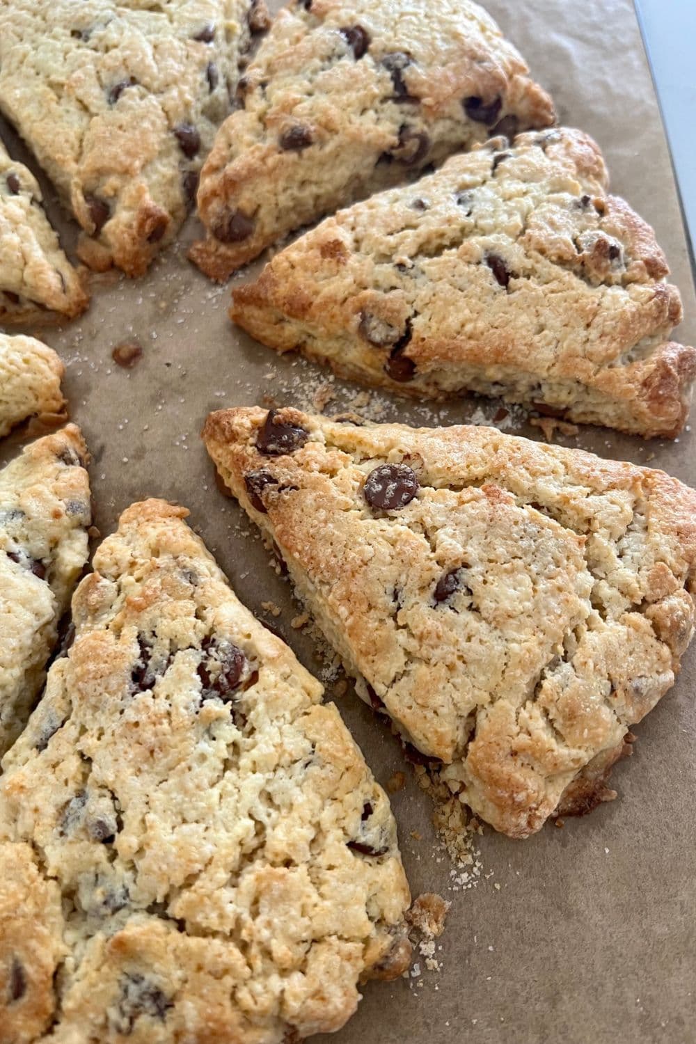 The Best Sourdough Chocolate Chip Scones Ever! - The Pantry Mama