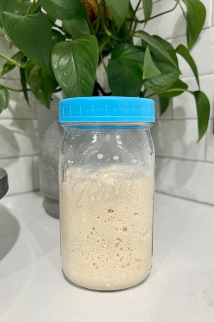 Sourdough starter in a tall ball jar with a blue plastic lid.