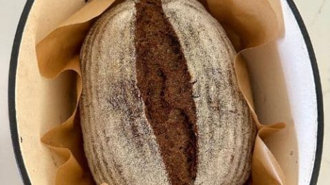 Premium Photo  Rye sourdough on flour sourdough in a container on a wooden  table. fermentation. the hand holds a wooden spatula, the readiness of the  sourdough is checked.