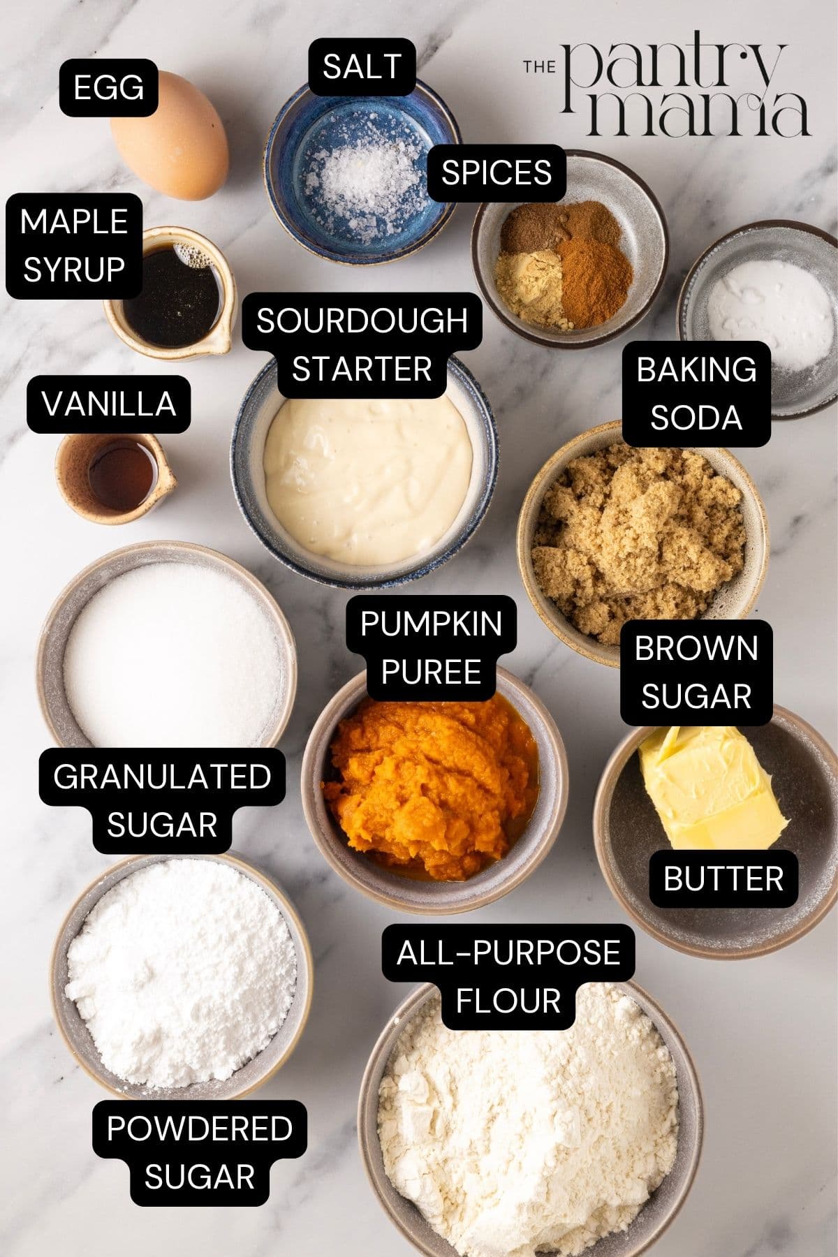 Flat lay of ingredients necessary to make soft sourdough pumpkin cookies.