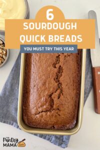 6 Sourdough Quick Bread Recipes You MUST Try This Year 2024 The   6 SOURDOUGH QUICK BREADS YOU MUST TRY 1 200x300 