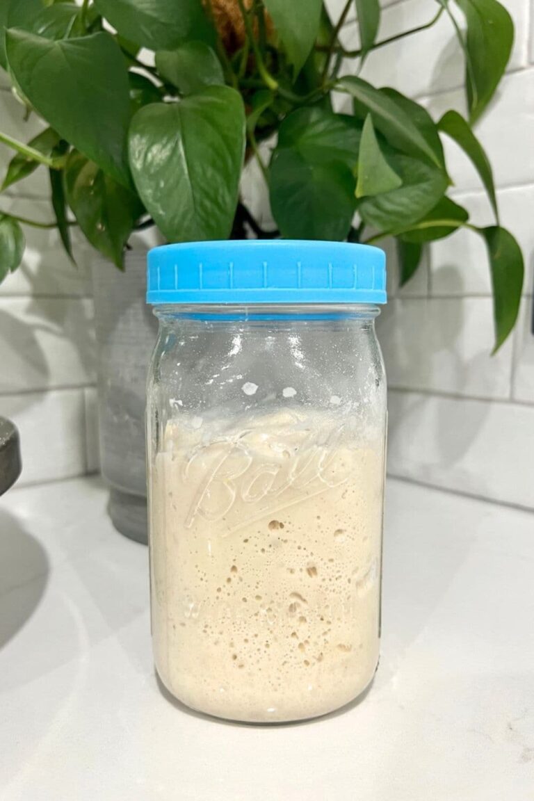 Sourdough Starter vs Sourdough Discard: What's The Difference?