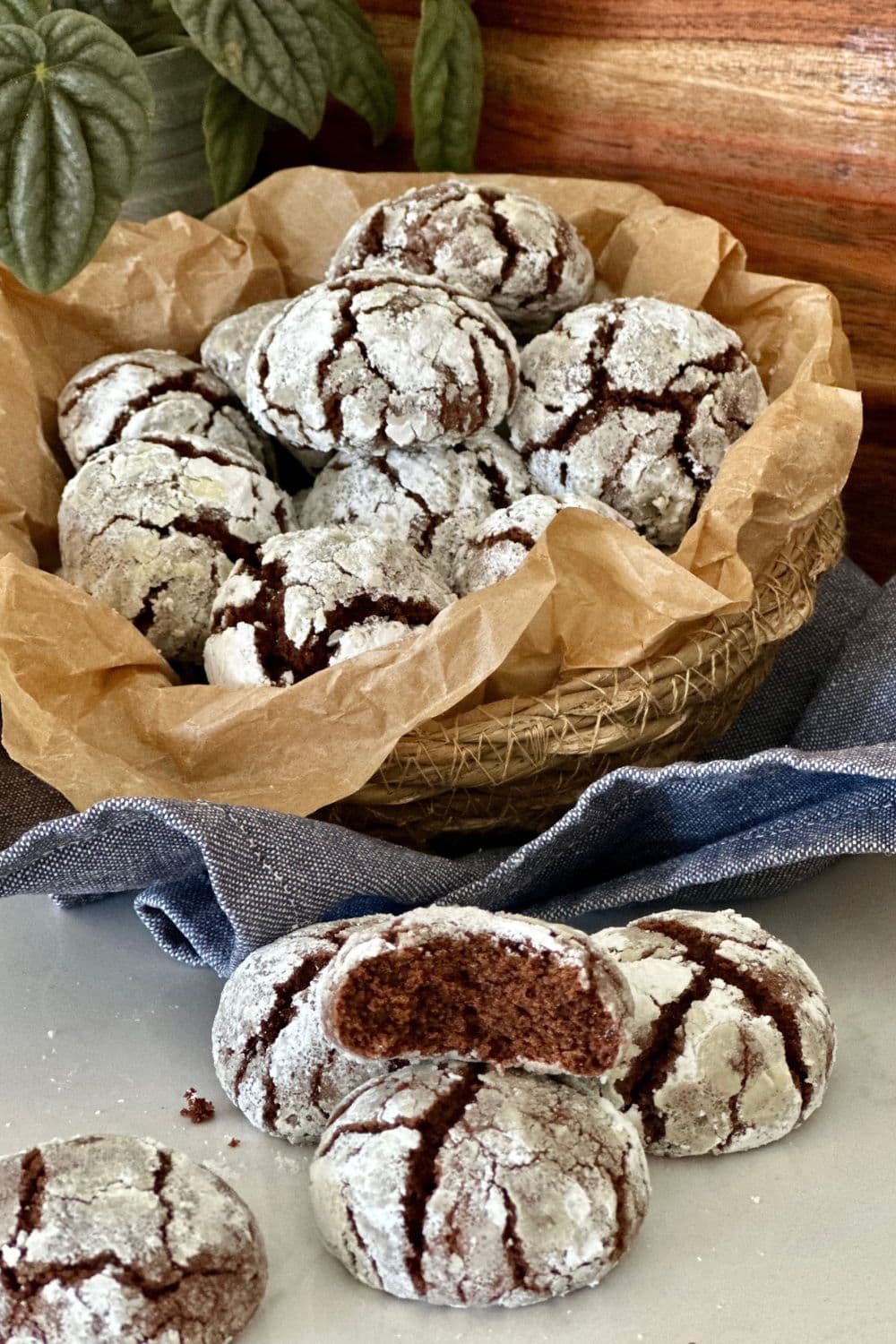 BAKING OVEN WITH MAGIC COOKIES - Circle of Knowledge