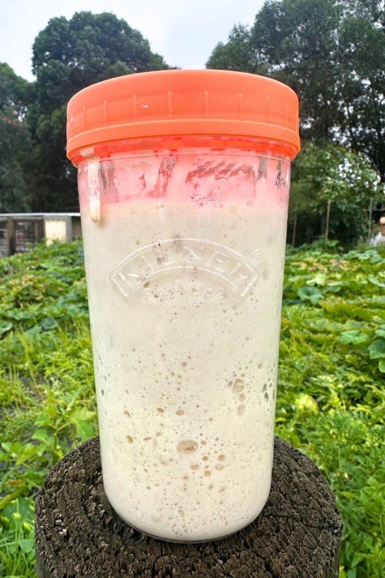 A tall jar of sourdough starter with an orange lid sitting on top of a fence post. You can see a green vegetable patch that has been blurred into the background of the photo.