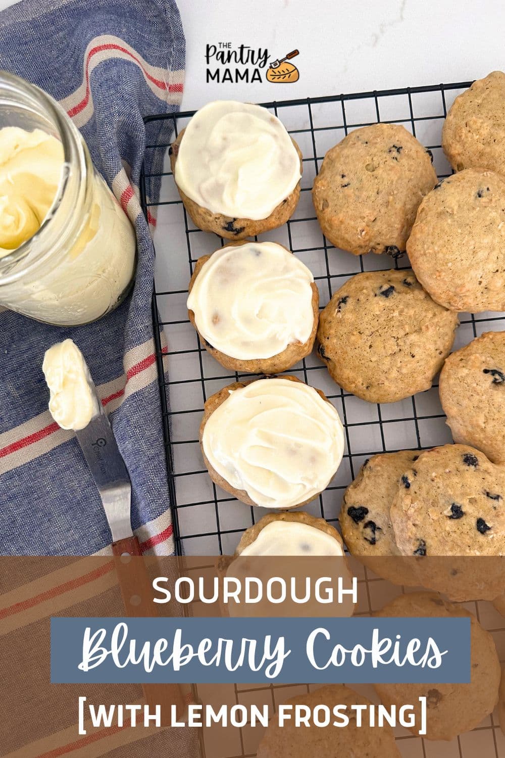 Sourdough Blueberry Cookies - The Pantry Mama