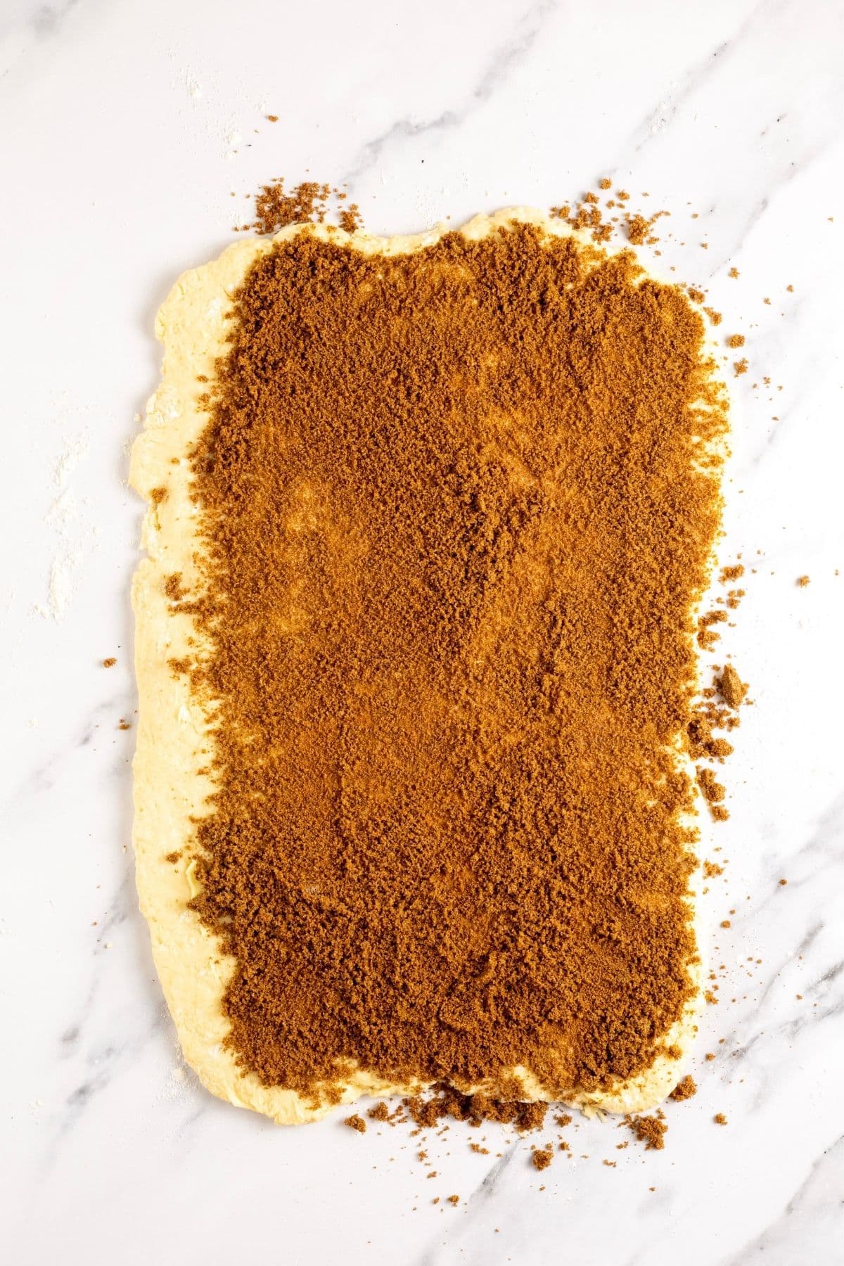 Rectangle of sourdough discard cinnamon dough rolled out and spread with butter and sprinkled with dark brown sugar and ground cinnamon.