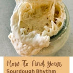 HOW TO FIND YOUR SOURDOUGH RHYTHM - PINTEREST IMAGE