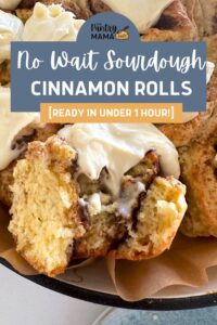 No Wait Sourdough Cinnamon Rolls [quick With No Added Yeast] - The ...