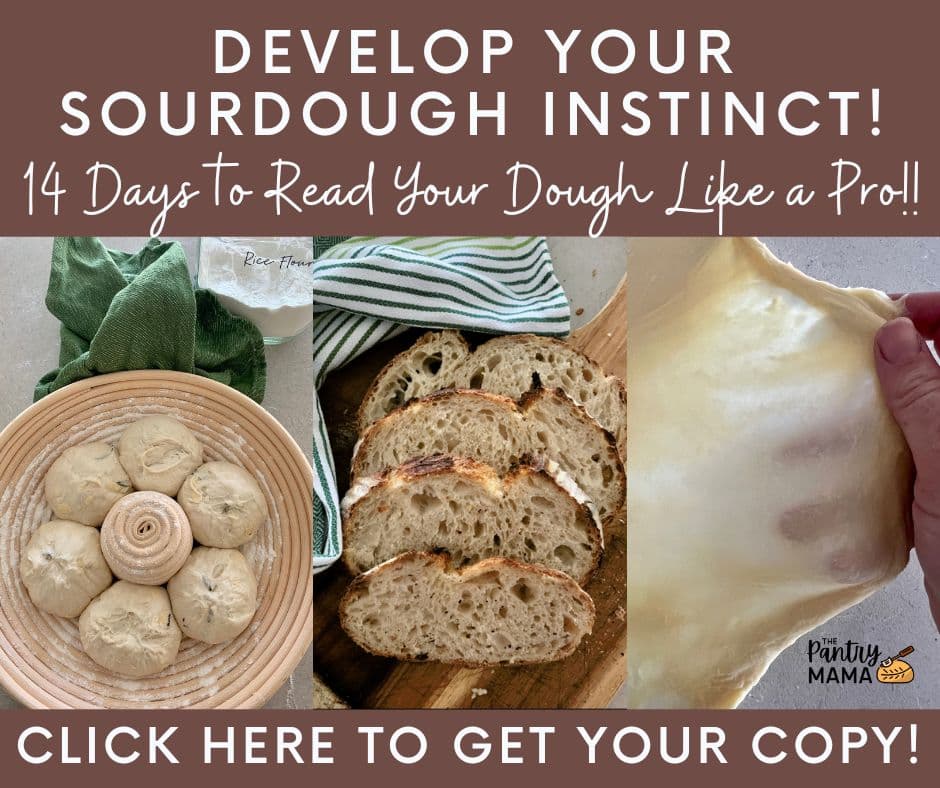 SOURDOUGH INSTINCT EBOOK AD