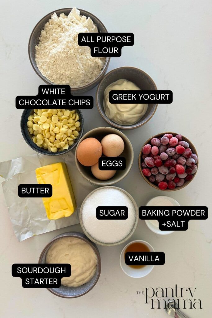 Flat lay of ingredients necessary to make sourdough cranberry cake.