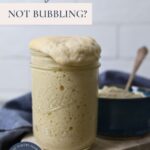 SOURDOUGH STARTER NOT BUBBLING - PINTEREST IMAGE