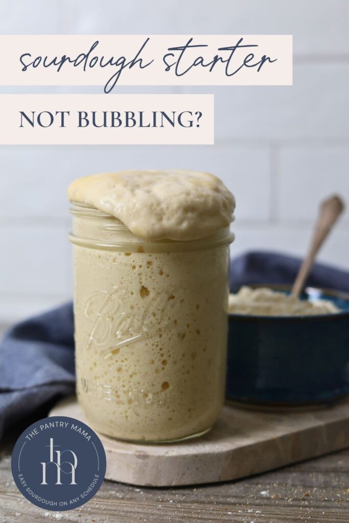 SOURDOUGH STARTER NOT BUBBLING - PINTEREST IMAGE