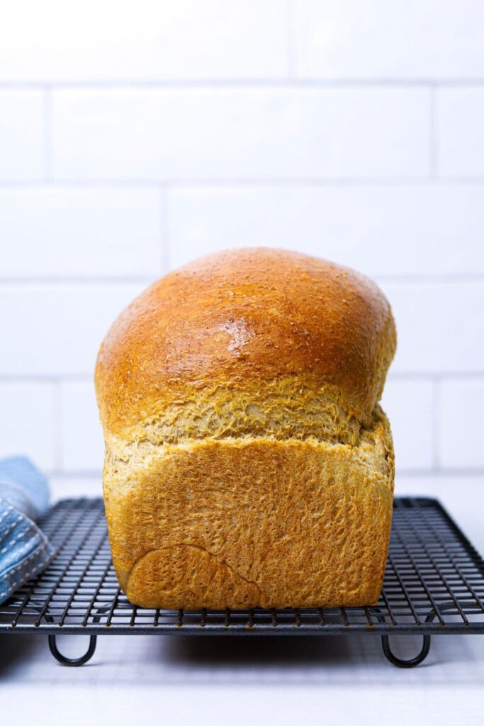 A loaf of whole wheat sourdough sandwich bread sitting on a wire cooling rack.