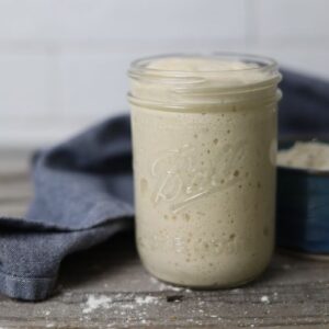 Sourdough Starter Tips and FAQ