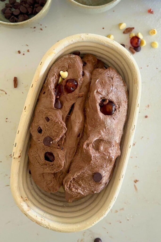 A loaf of sourdough chocolate cherry bread that has been shaped and is sitting in a banneton. The dough is very tight and starting to split open at the bottom. 