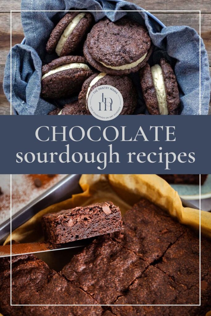 Sourdough chocolate recipes - pinterest image