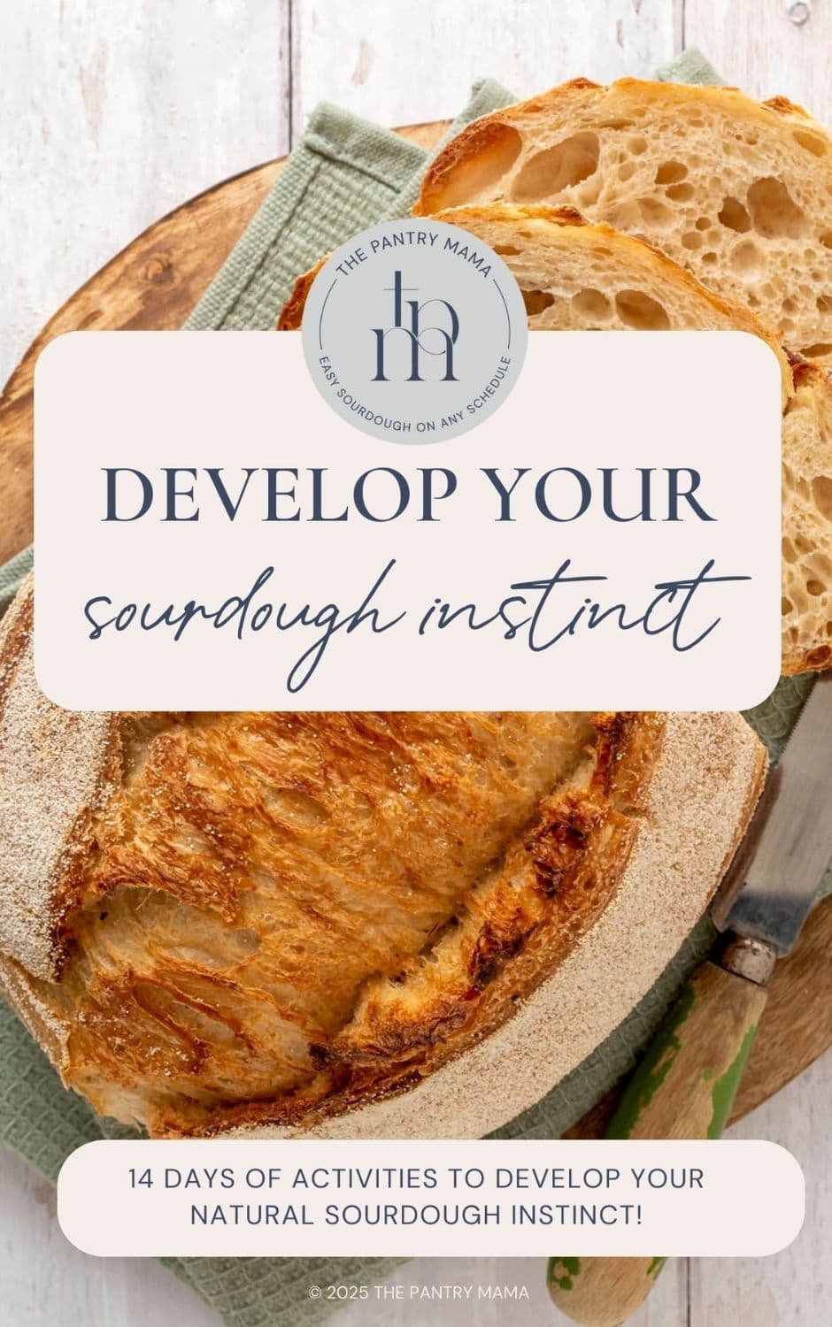 Cover page for Develop Your Sourdough Instinct Ebook