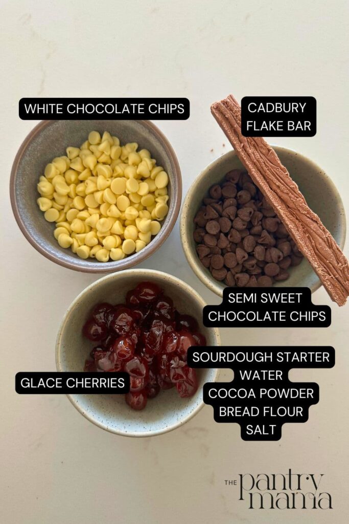 Flat lay of ingredients necessary to make a loaf of chocolate cherry sourdough bread.