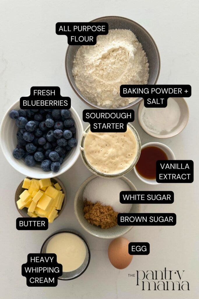 Flat lay of ingredients necessary to make sourdough blueberry scones.