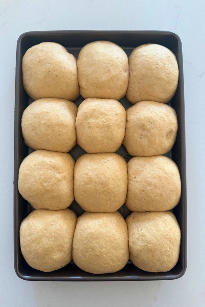 A rectangle baking tray containing whole wheat sourdough dinner rolls that have been proofed and allowed to get soft and puffy.