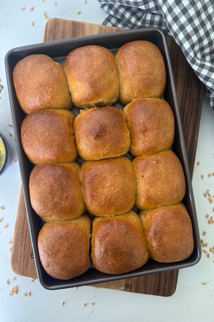 A rectangle baking tray containing 12 whole wheat sourdough dinner rolls.