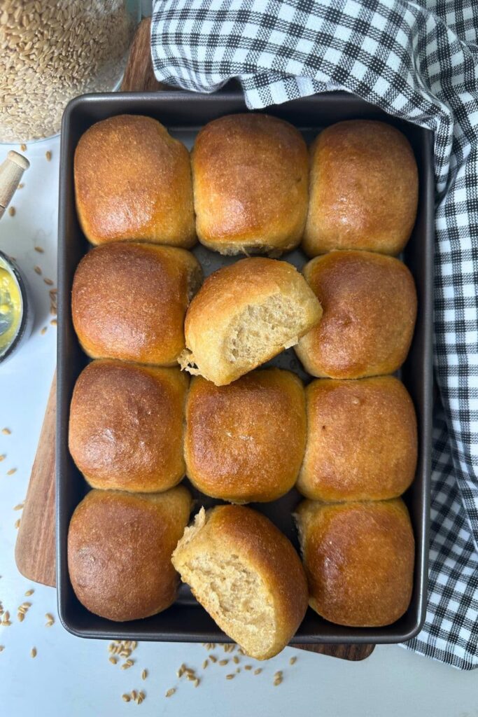 12 100% whole wheat sourdough dinner rolls in a baking tray. 2 of the rolls are turned on their sides so you can see the soft crumb.