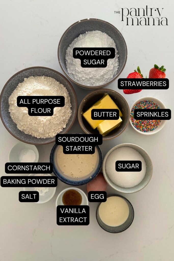 Flat lay of ingredients necessary to make sourdough sugar cookie bars.